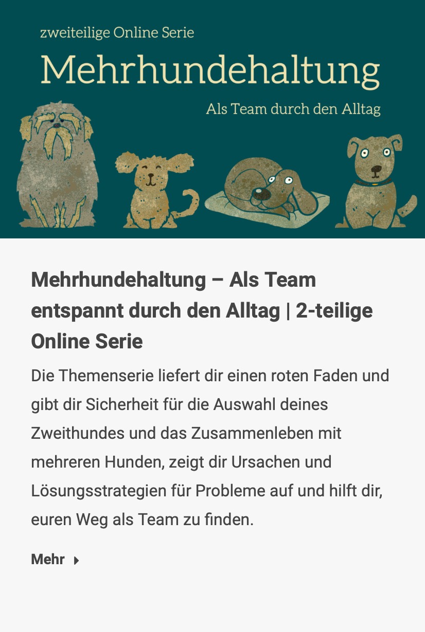 Mehrhundehaltung – Als Team entspannt durch den Alltag