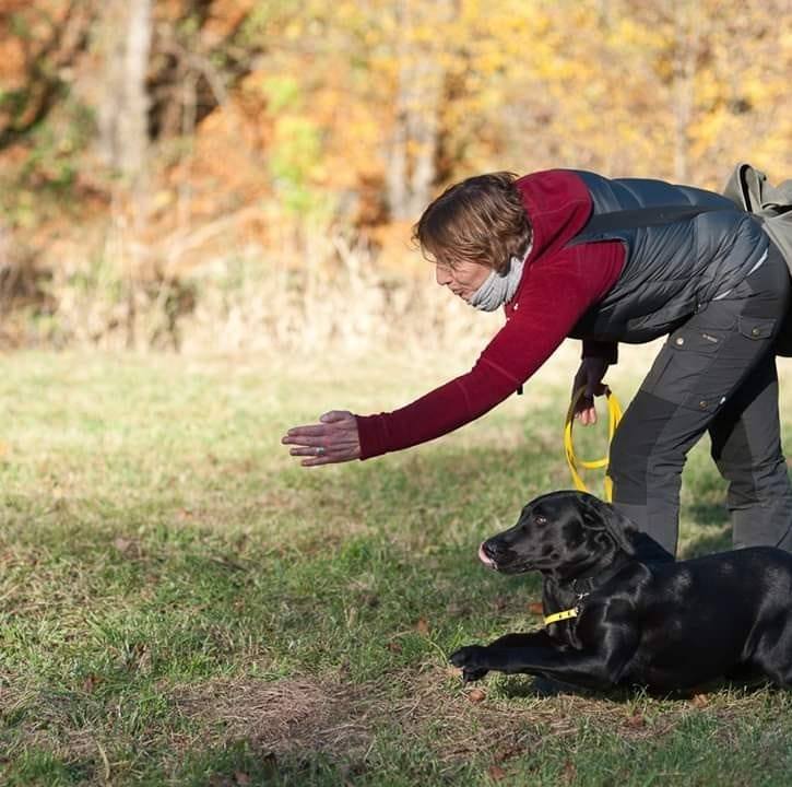 Nicole_Dohmen_Labrador_Handgeste