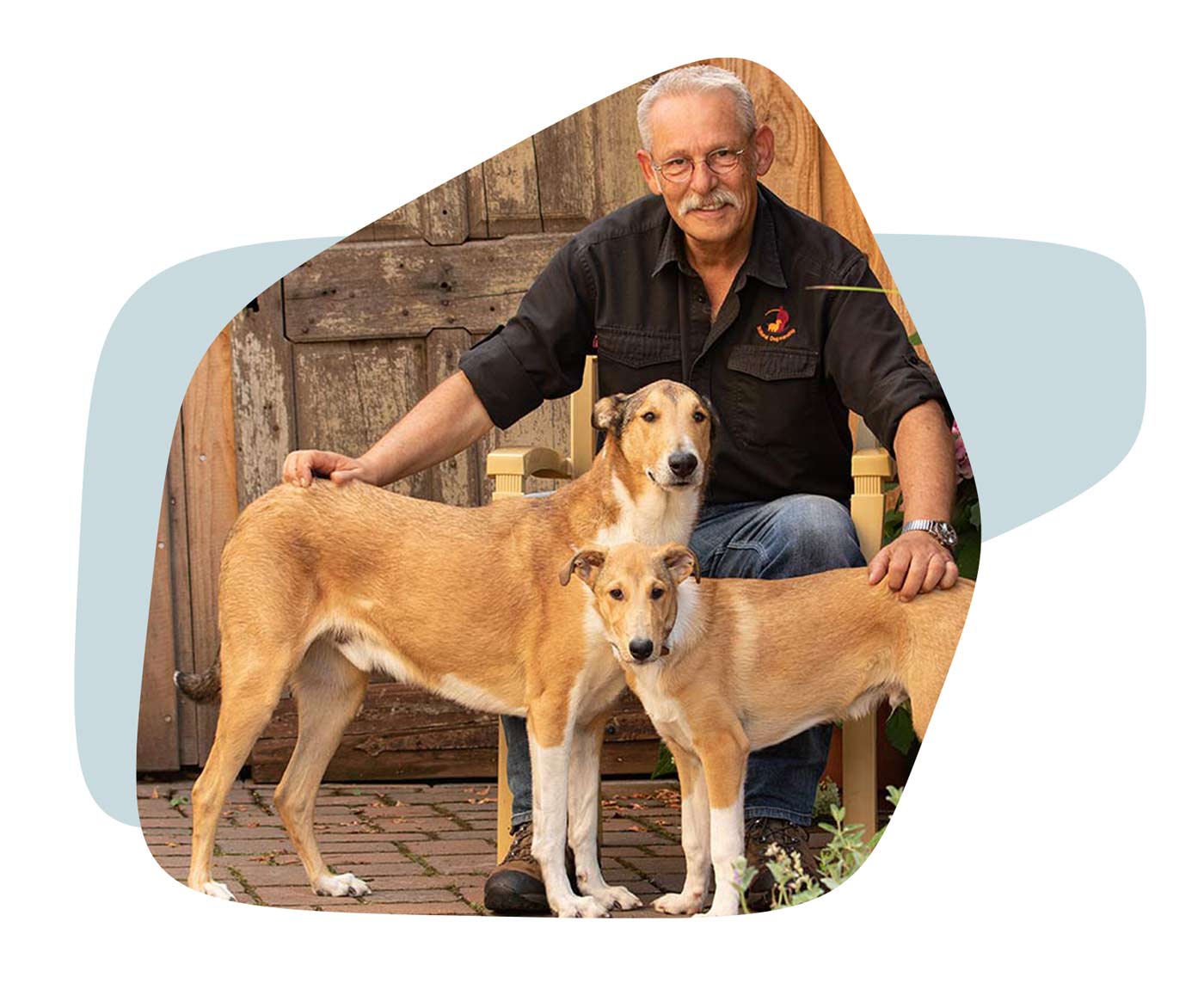 Hundetrainer-Ausbildung - Jan Nijboer mit zwei Hunden